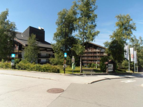 Appartementhaus Birkenwald, Seefeld In Tirol